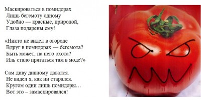 Begemot_v_pomidorah.jpg