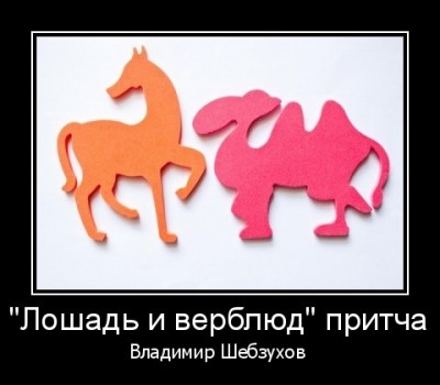 Лошадь и верблюд.jpg